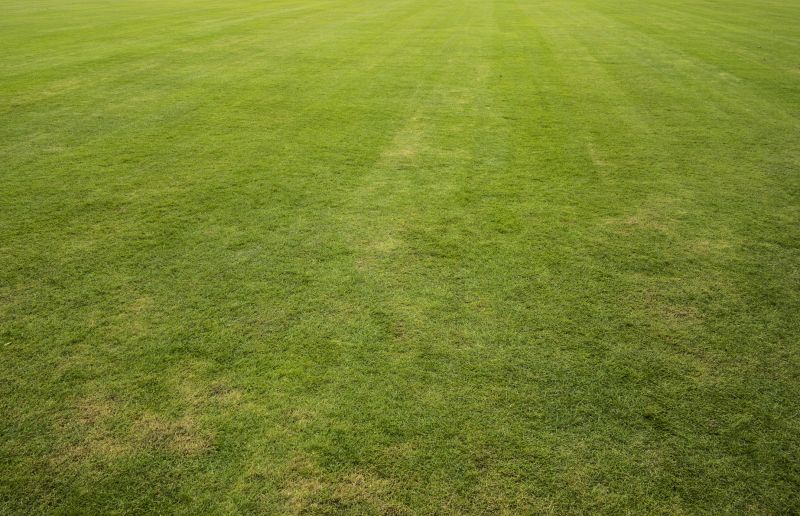 Grass Installation detail