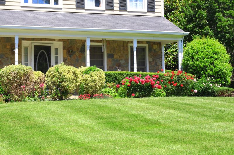 Lawn Installation detail