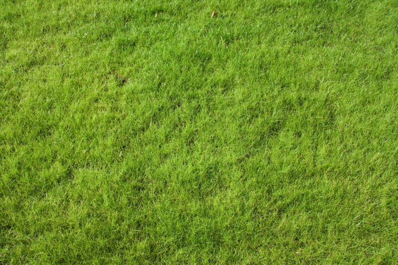 Lawn Installation detail