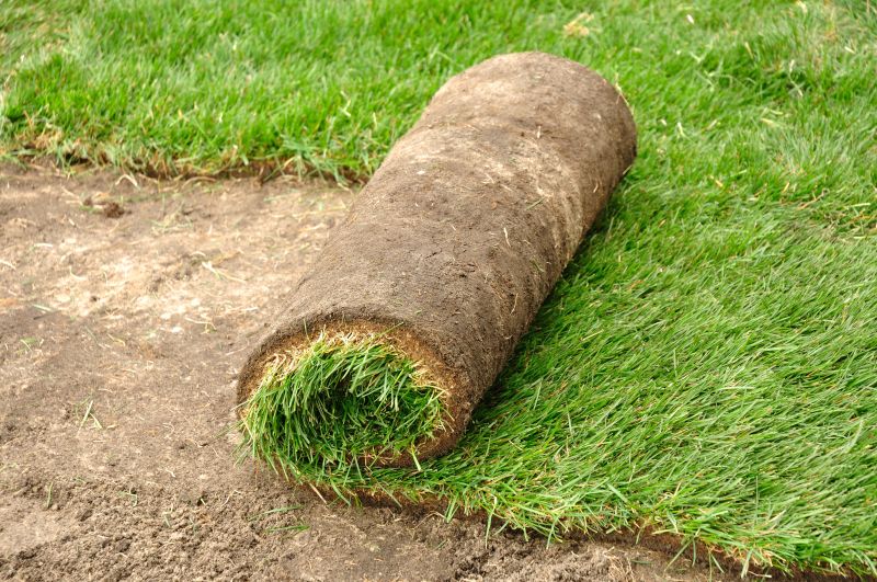 Sod Laying Service detail