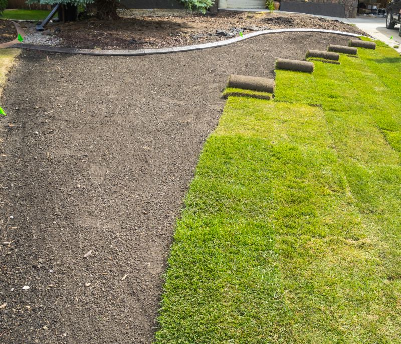 Yard Sod Replacement detail