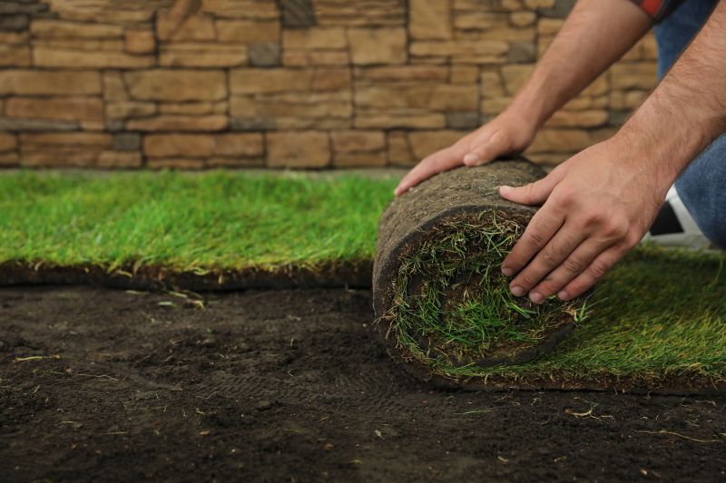 Why Sod Installation Is The Fastest Way To A Green Lawn