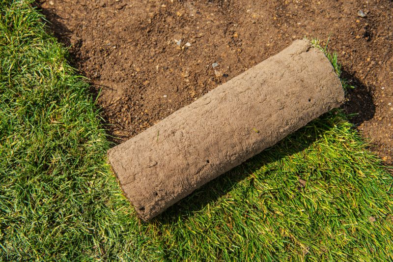 Why Sod Installation Is The Fastest Way To A Green Lawn