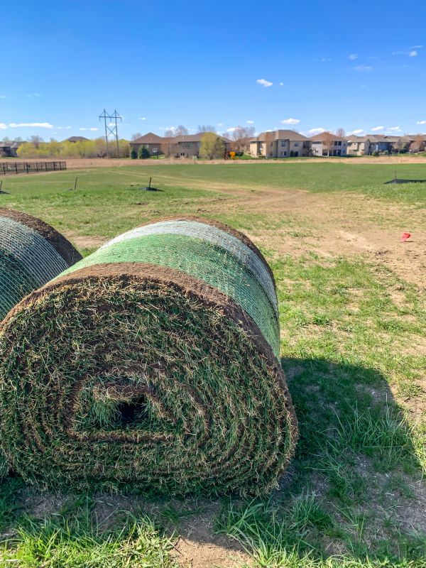 Yard Sod Replacement in Aiken, SC