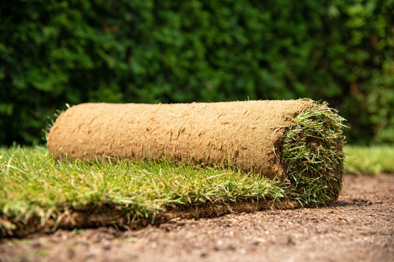 Erosion Control Improvement