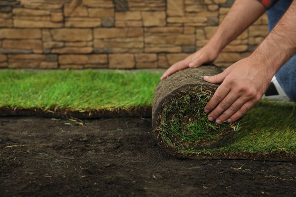 Sod Installation Service